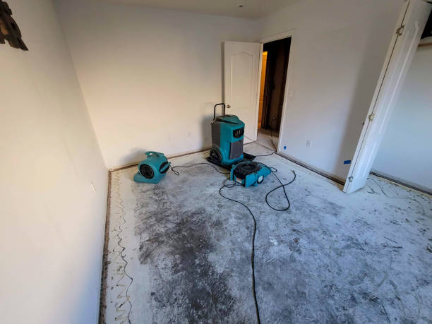Best Residential water damage restoration  in Blplay, AL