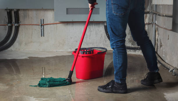 Best 24-hour water damage restoration  in Blplay, AL