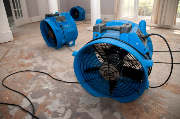 Best Mold removal after water damage  in Blplay, AL