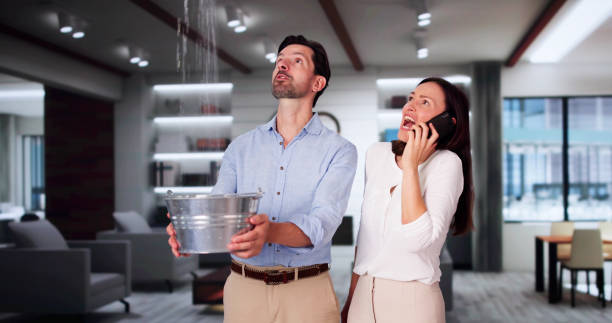 Local water damage restoration in Ballplay, AL