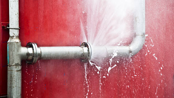 Best Water damage restoration near me  in Blplay, AL