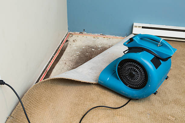 Professional Water damage restoration in Ballplay, AL